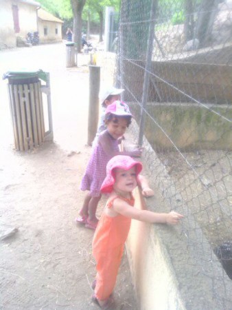 hospitalet été 2013